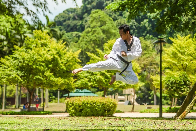 Martial Arts