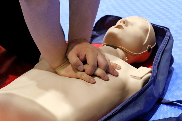 Basic First Aid